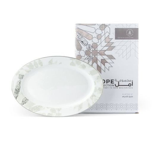 [GY1509] 1 Serving Plate From Amal - Grey